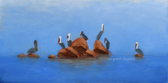 Pelicans