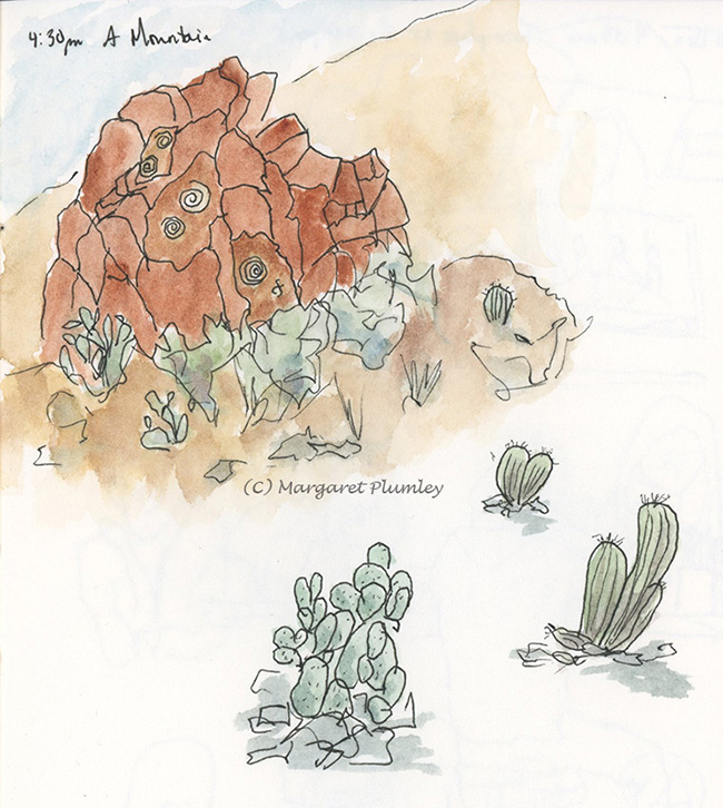 Desert plants and rocks