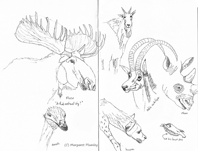 Ink sketches of animals