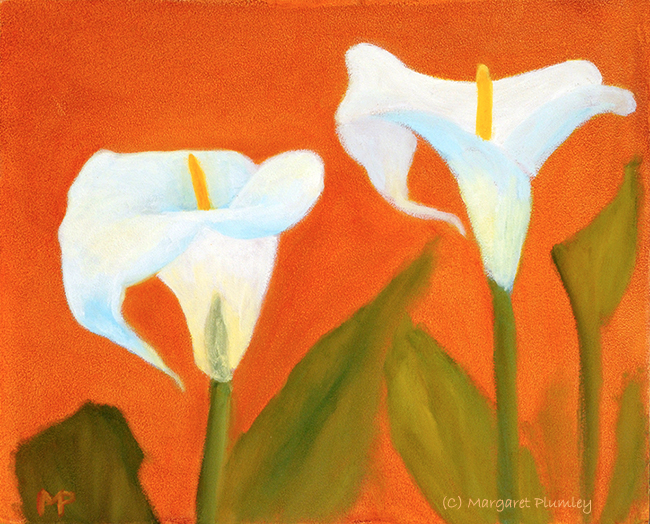 Cala lilies dancing