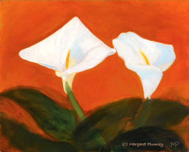 Cala lily kiss